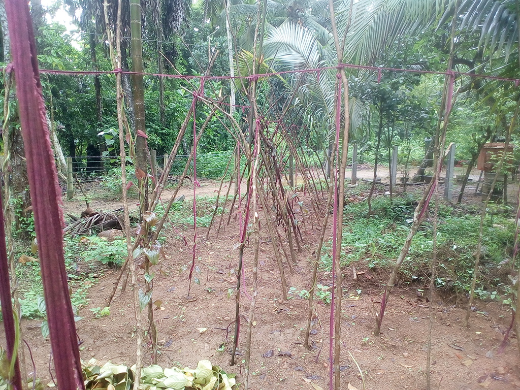IMG 20190813 105702