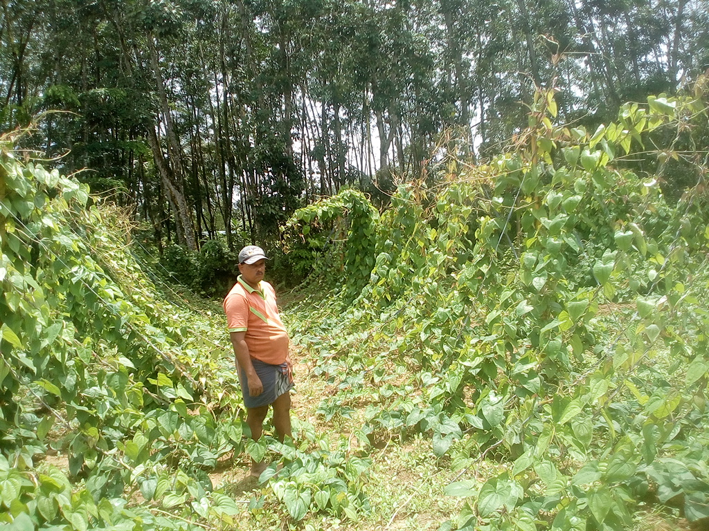 IMG 20190827 124008