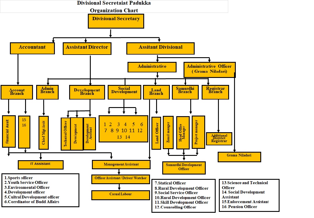 organization chart1